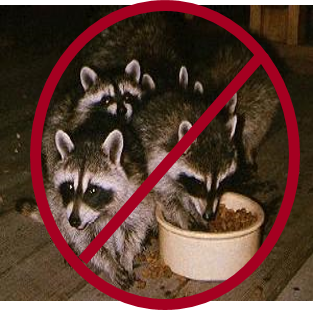 Racoons feeding with a red circle and a slash through it