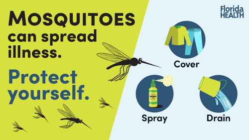 Image of Mosquitoes - Mosquitoes can spread illness. Protect Yourself.