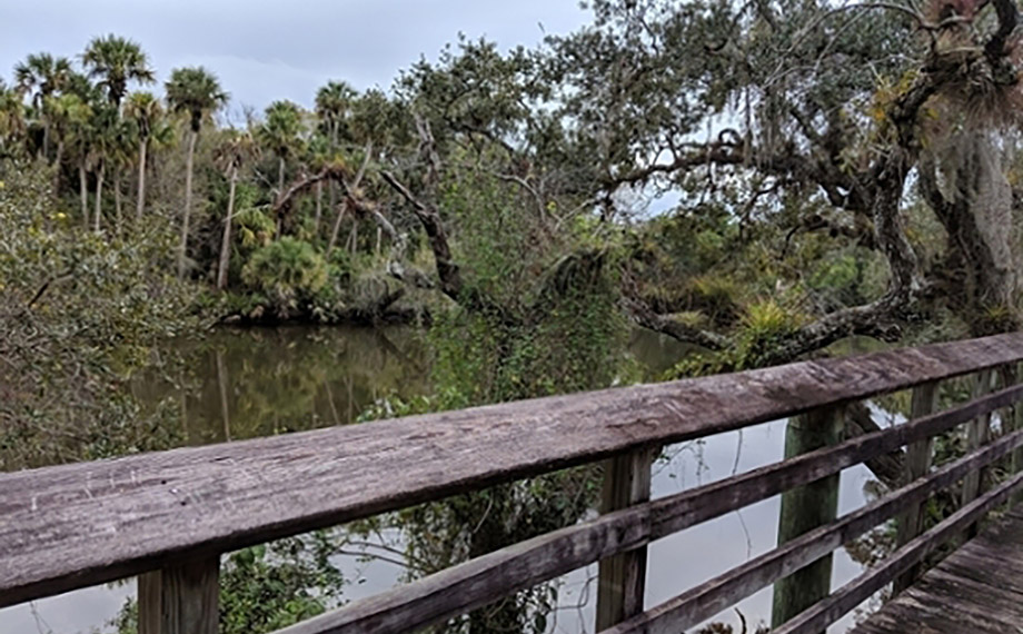 St. Lucie River boardwalk